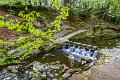 Tollymore Forest Park Newcastle Co Down (9)